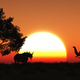 Africa